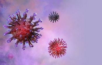 Covid- 19 Virus
